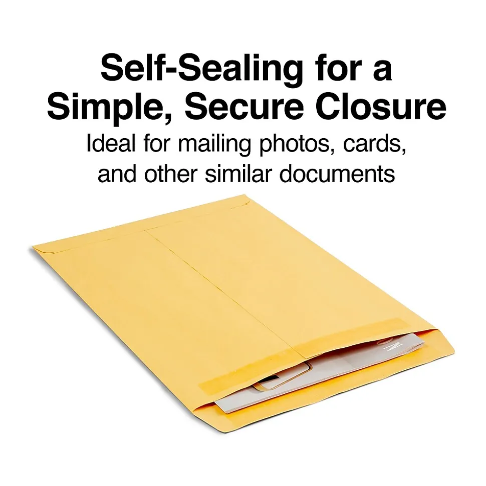 Self Seal #13 1/2 Kraft Catalog Envelope, 10" x 13", Brown, 250/Box (ST486933-CC) | Staples Flash Sale