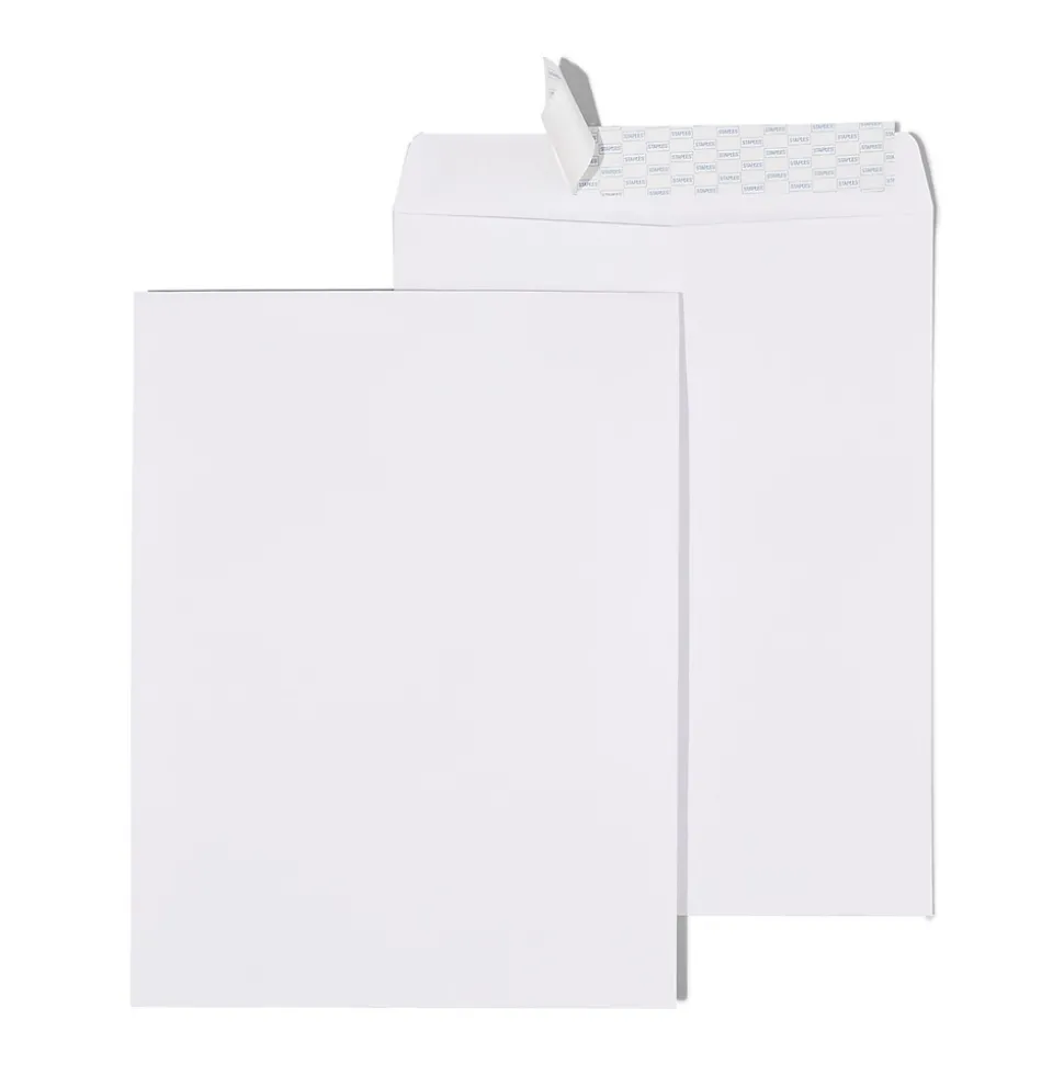 Self Seal #13 Catalog Envelope, 10" x 13", White, 12/Pack (50293T-CC) | Staples New