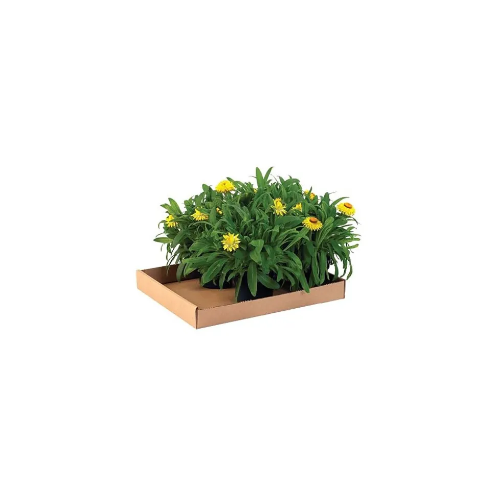 15" x 12" x 1.75" Corrugated Trays, 32 ECT, Brown, 50/Bundle (15122CT) | Unbranded Hot